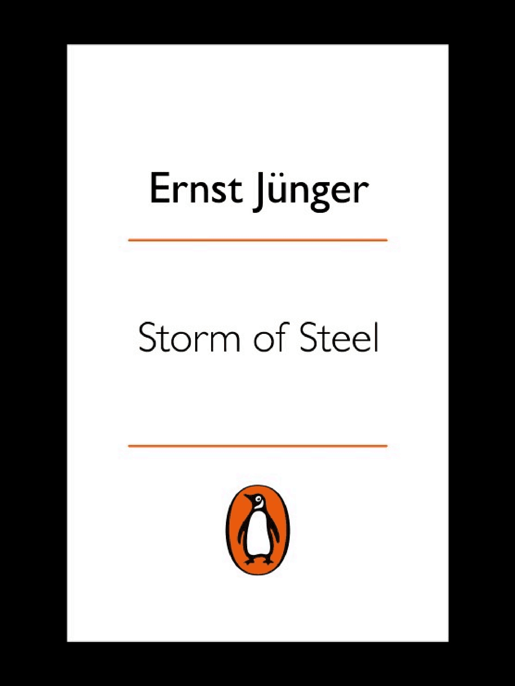 Storm of Steel